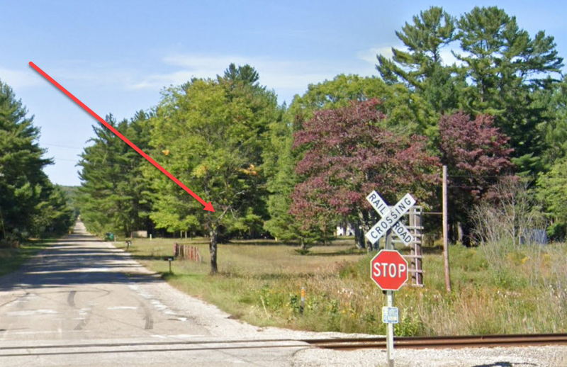 Animal Land - Street View (newer photo)
